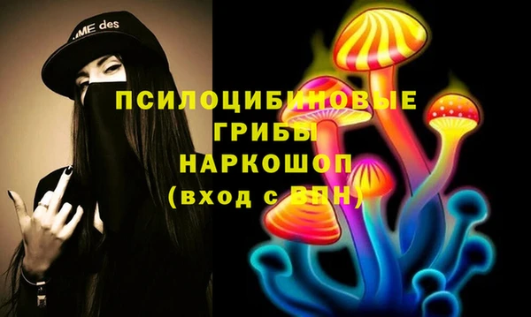 гашик Абаза