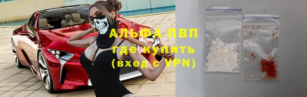 прущие грибы Абдулино