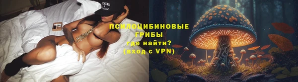 кокс Алзамай