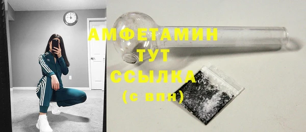 прущие грибы Абдулино