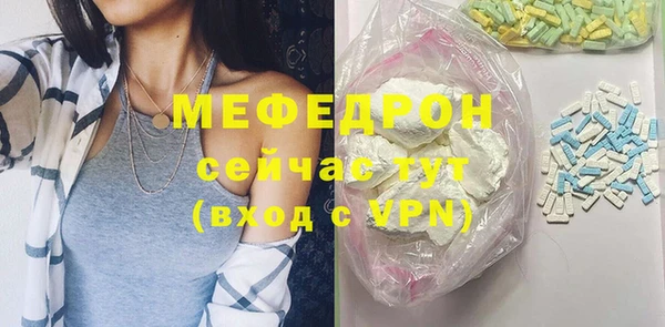 индика Каменка