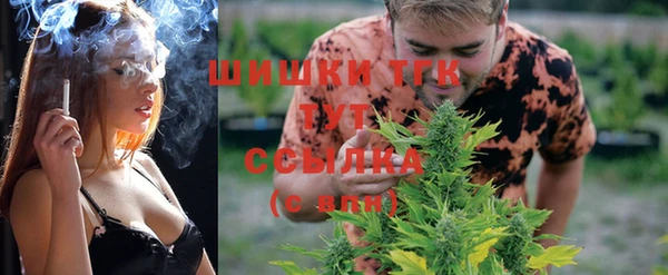 прущие грибы Абдулино