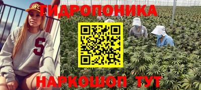 ГАЛЛЮЦИНОГЕННЫЕ ГРИБЫ Славянск-на-Кубани