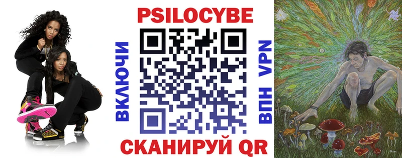 Псилоцибиновые грибы Psilocybe  что такое   Туапсе 