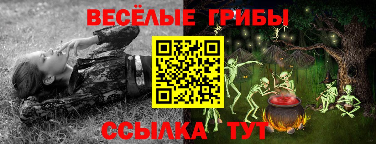 где купить наркоту  Галлюциногенные грибы мицелий  Вход с VPN  Туапсе 
